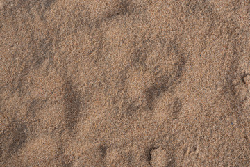 Background image of a sandy beach texture