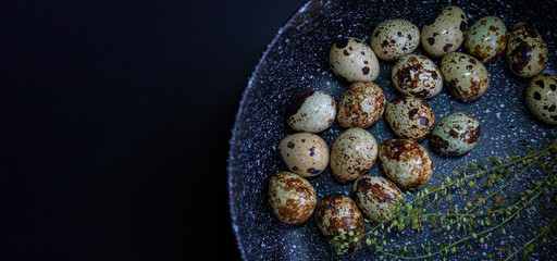 Quail eggs in a black plate. On the old dark black background. Top view. Free copy space.