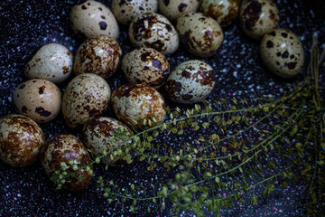 Obraz premium Quail eggs in a black plate. On the old dark black background. Top view. Free copy space.