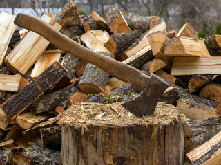 a landscape with a log of wood and an ax in the center