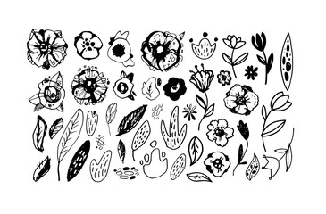 Abstract hand drawn doodle leaves, palm tree. Botanical design. Template design elements for background, pattern, banner. Flower set. Leaves set. © jane55