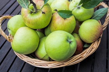 grüne äpfel aus eigener ernte