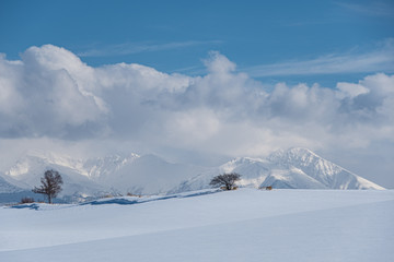 Fototapeta premium 雪山のある風景