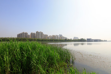 Waterfront city building scenery, China