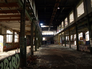 Obraz premium OLYMPUS DIGITAL CAMERA