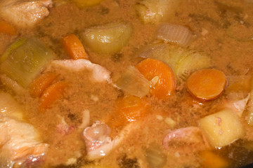 Chicken Stew with winter vegetables, close up.