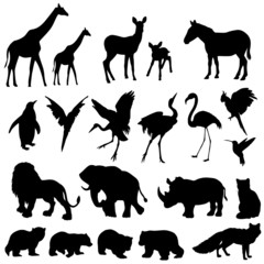 Set of elements, silhouettes of black, exotic animals and birds, isolate on a white background