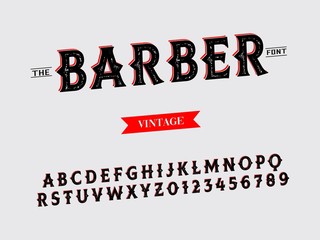 Font alphabet Script Typeface handcrafted handwritten vector label design old style. vintage Hand Drawn.Retro Typography.Vector Illustration.name show