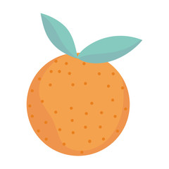 orange fresh fruit cartoon icon style design