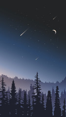 Night sky landscape. Forest on a background of stars.