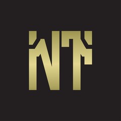 NT Logo with squere shape design template with gold colors