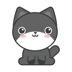 cute cat on white background, feline domestic