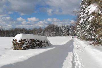 Snow Landscape