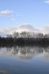 river and the group of birch trees