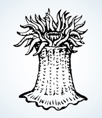 Sea creature. Vector drawing icon