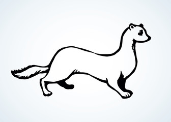Least weasel. Vector drawing icon