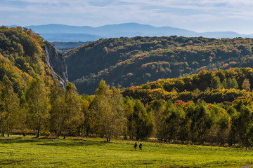 dolina Będkowska, sokolica © Tomasz