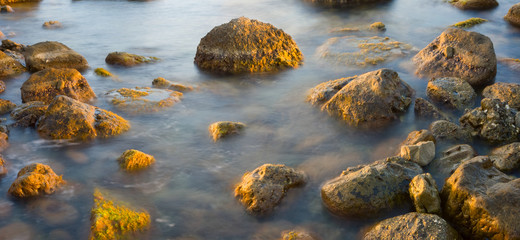 closeup stones in a sea near a coast