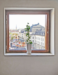 Vase and window. View through window on Railway station, Stockholm, Sweden. Trendy toning