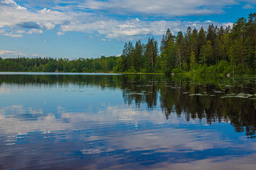 Fototapeta na wymiar lake in deep forest