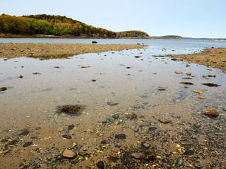 Rocky beach on a tidal bar