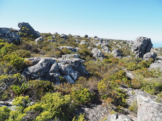 Kapstadt – Tafelberg