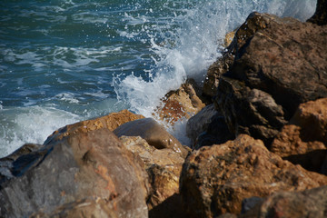 The sea splashing rocks on the shore