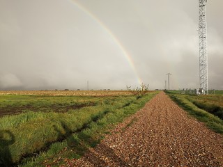 arcoiris en cielo nuboso sobre campo