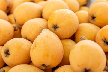 Close up loquat, golden fruit
