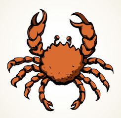 Big sea crab. Vector drawing