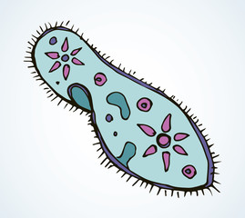 Paramecium caudatum. Vector drawing icon