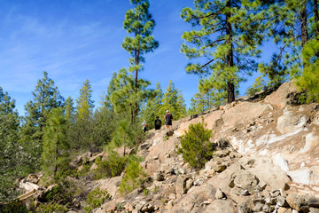 group of seniors hiking in mountain paths