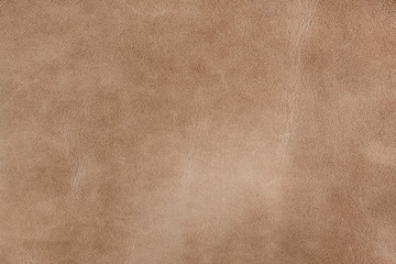 Old light brown smooth natural leather in small grain textured background