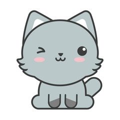 cute cat on white background, feline domestic