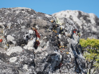 Kapstadt – Tafelberg