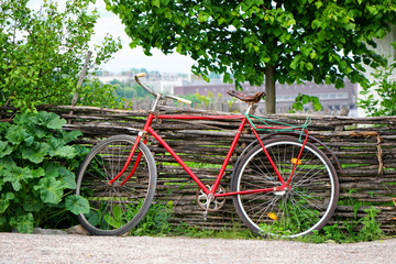 Fototapeta na wymiar Vintage red bicycle parked near a lath wooden fence under a tree close to green bushes
