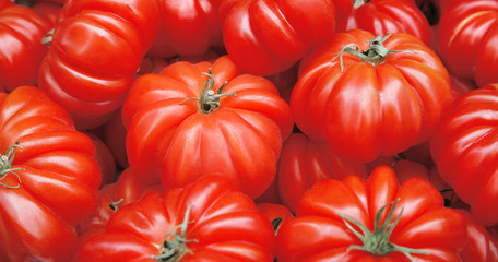 große Ochsenherz Tomaten close up