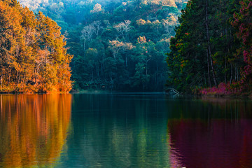 The beauty of the scenery of the trees reflecting the surface of the water in the autumn colors by the lake in Pang Ung Thailand