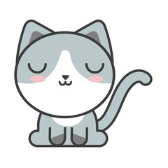 cute cat on white background, feline domestic