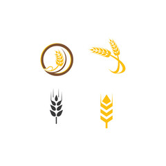 Set Wheat Logo Template vector