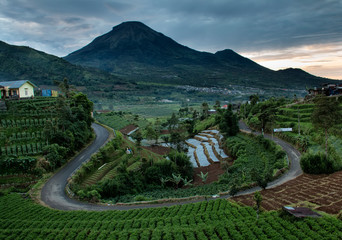 Great countryside views and large mountain in the morning