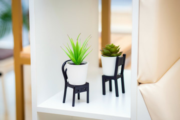 Decorative artificial plastic flowers in pots stand on miniature chairs on a shelf.