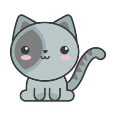 cute cat on white background, feline domestic