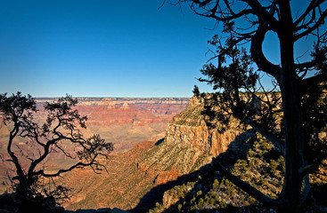  A view of the Grand Canyon from the South Rim, Grand Canyon National Park, AZ.