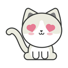 cute cat on white background, feline domestic