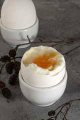 Soft boiled egg and white chicken egg in egg cup with alder cones