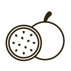 pitahaya on white background, line style icon