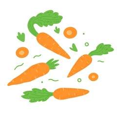 Carrot vector illustration isolated set. Concept of healthy food, vegetable for background, icon design. Carrot have abstract, simple cartoon, hand drawn style.