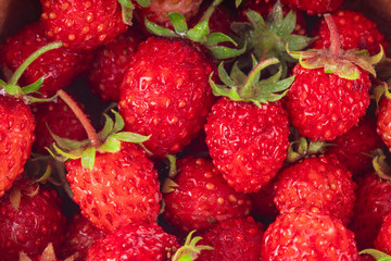 heap of wild strawberries background