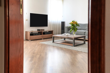 Modern living room. Image of contemporary interior design.